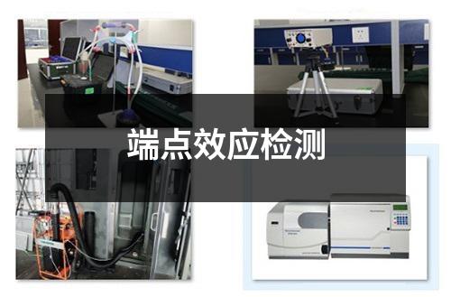 端點效應檢測