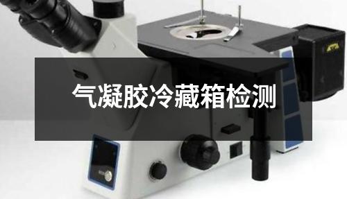 氣凝膠冷藏箱檢測(cè)