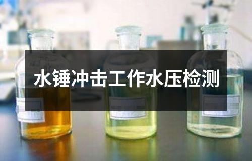 水錘沖擊工作水壓檢測