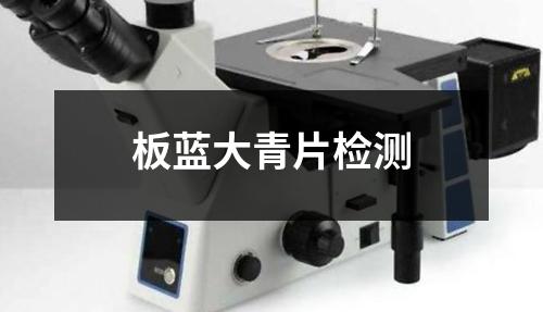 板藍(lán)大青片檢測