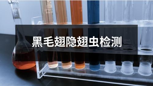 黑毛翅隱翅蟲檢測
