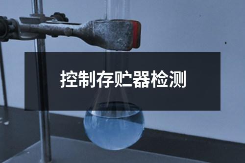 控制存貯器檢測