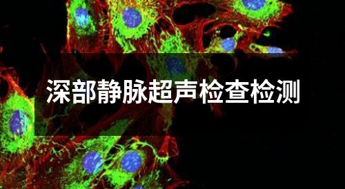 深部靜脈超聲檢查檢測