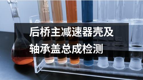 后橋主減速器殼及軸承蓋總成檢測