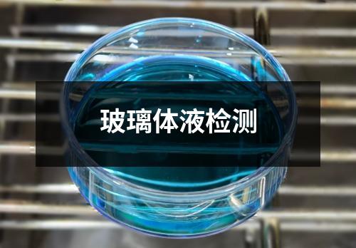 玻璃體液檢測(cè)