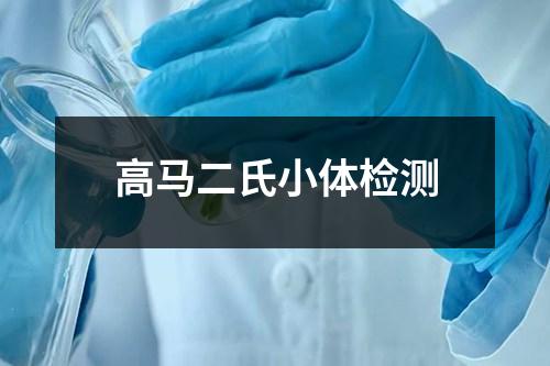 高馬二氏小體檢測