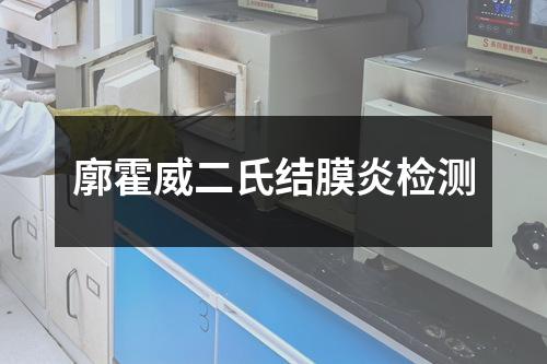 廓霍威二氏結(jié)膜炎檢測