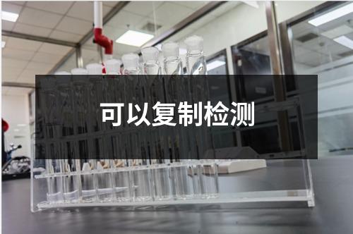 可以復制檢測