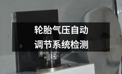 輪胎氣壓自動(dòng)調(diào)節(jié)系統(tǒng)檢測(cè)