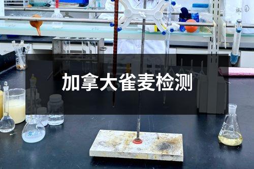 加拿大雀麥檢測