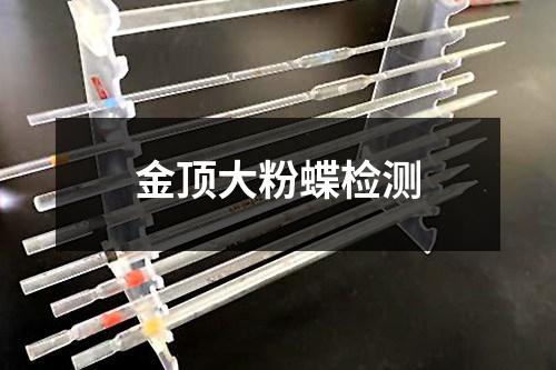 金頂大粉蝶檢測