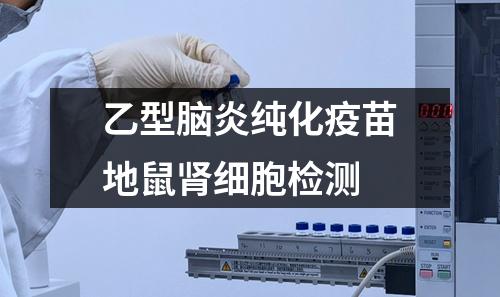 乙型腦炎純化疫苗地鼠腎細(xì)胞檢測