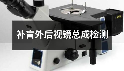 補(bǔ)盲外后視鏡總成檢測