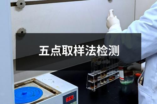 五點(diǎn)取樣法檢測(cè)