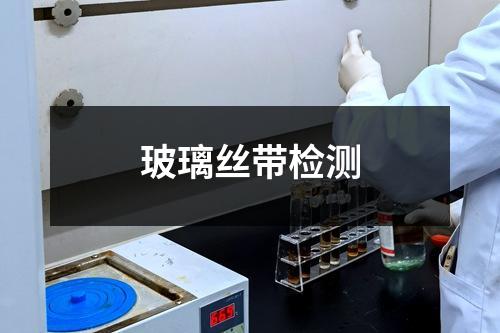 玻璃絲帶檢測(cè)
