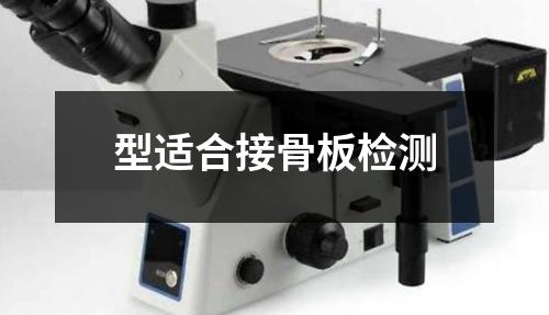 型適合接骨板檢測