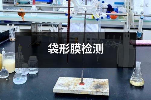 袋形膜檢測