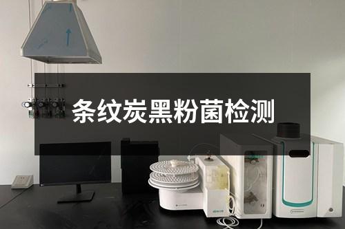 條紋炭黑粉菌檢測(cè)