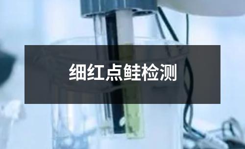 細紅點鮭檢測