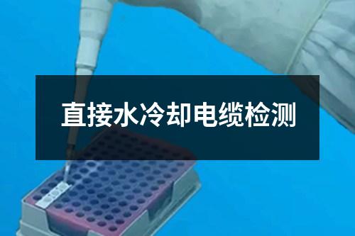 直接水冷卻電纜檢測(cè)