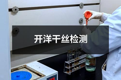 開洋干絲檢測