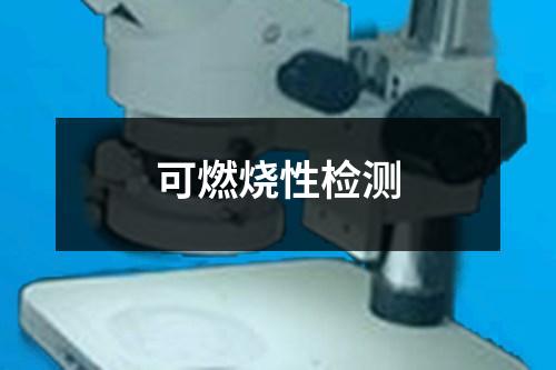 可燃燒性檢測