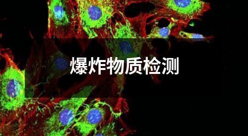 爆炸物質檢測