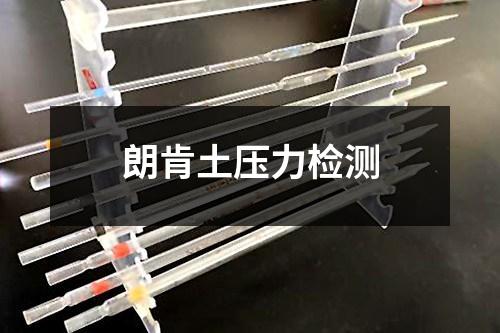 朗肯土壓力檢測