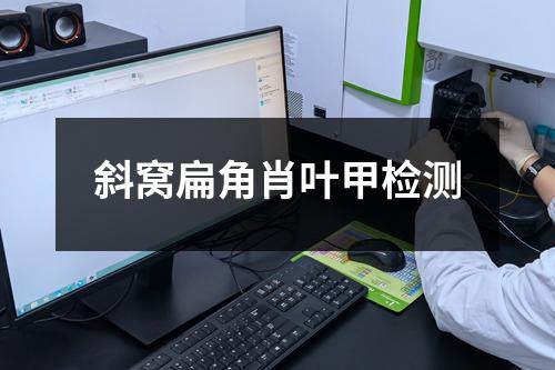 斜窩扁角肖葉甲檢測