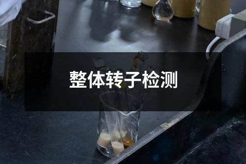 整體轉子檢測