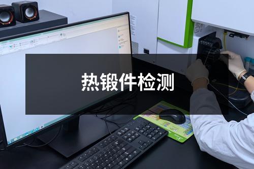熱鍛件檢測