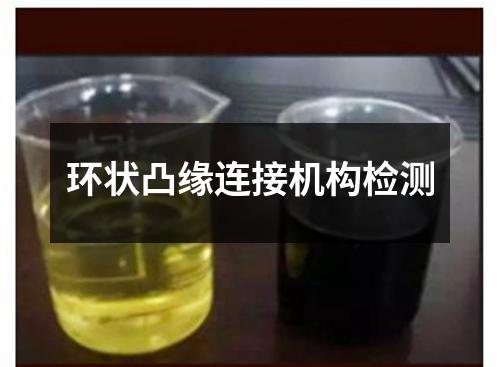環(huán)狀凸緣連接機(jī)構(gòu)檢測(cè)