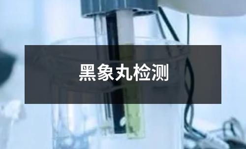 黑象丸檢測