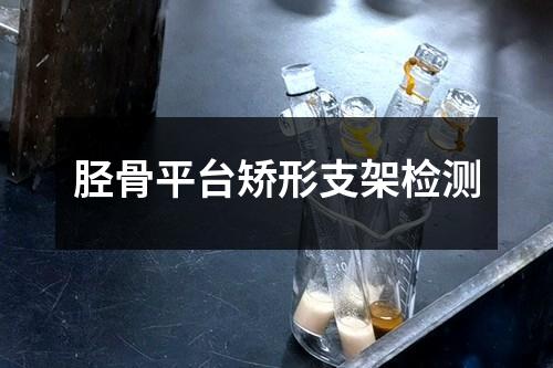脛骨平臺(tái)矯形支架檢測(cè)