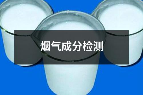 煙氣成分檢測(cè)