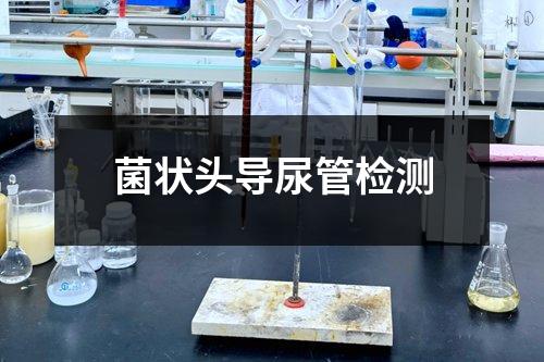 菌狀頭導(dǎo)尿管檢測(cè)