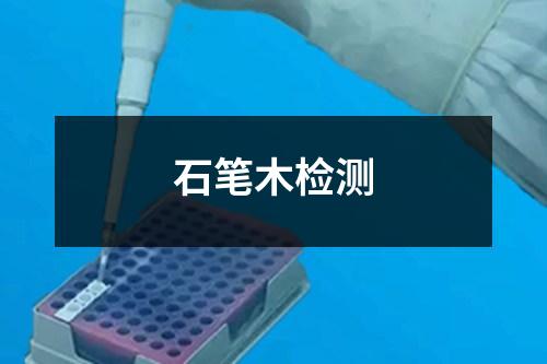 石筆木檢測