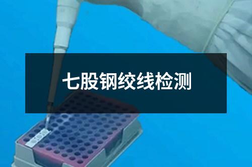 七股鋼絞線檢測