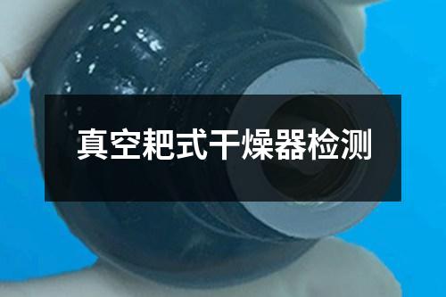 真空耙式干燥器檢測