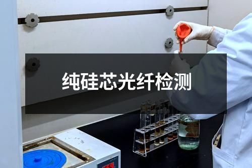 純硅芯光纖檢測