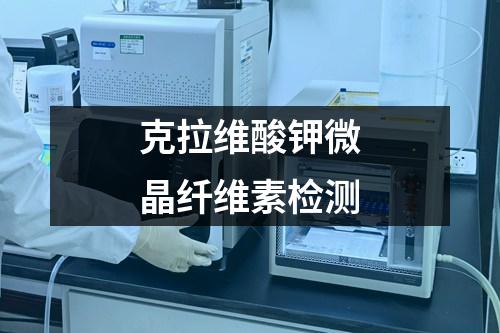克拉維酸鉀微晶纖維素檢測