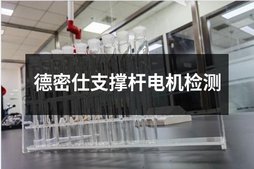 德密仕支撐桿電機(jī)檢測(cè)