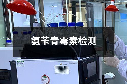 氨芐青霉素檢測(cè)