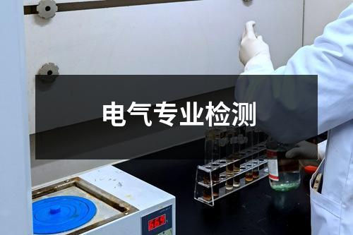 電氣專業(yè)檢測