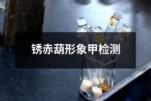 銹赤葫形象甲檢測