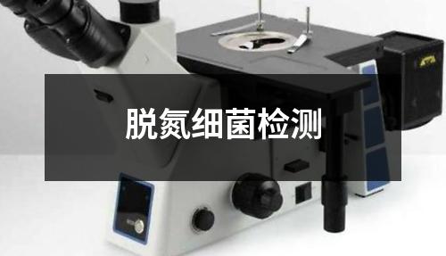 脫氮細(xì)菌檢測(cè)