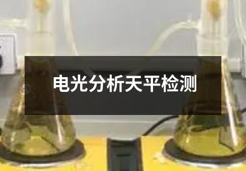 電光分析天平檢測(cè)