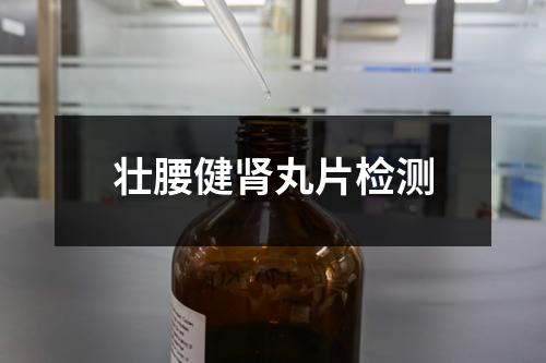 壯腰健腎丸片檢測