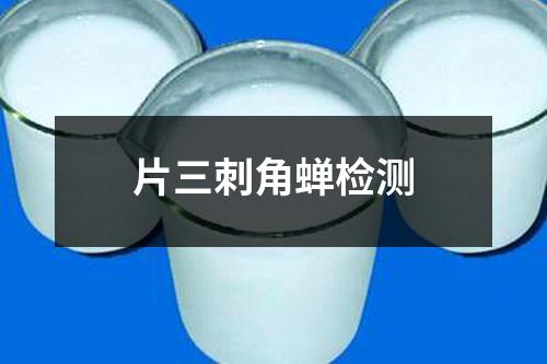 片三刺角蟬檢測