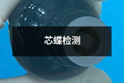 芯蝶檢測